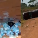 No AM, criminosos sequestram dono de drogaria, capotam e deixam dinheiro cair na fuga