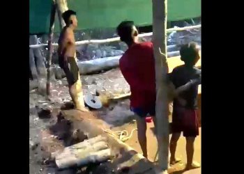 Vídeo: garimpeiros amarram meninos no tronco e ameaçam Yanomamis na Amazônia