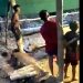 Vídeo: garimpeiros amarram meninos no tronco e ameaçam Yanomamis na Amazônia