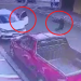 Vídeo: Pistoleiro que tentou matar a tiros empresário no bairro Planalto é preso