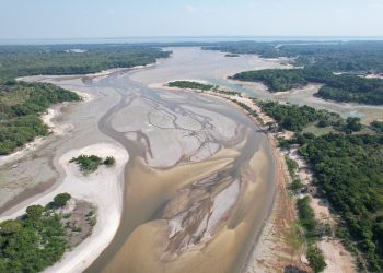 Rio Negro em três dias já subiu 17 centímetros após pior seca no Amazonas