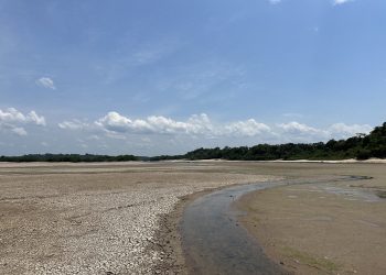 Sindmetal diz que mais de 30 empresas da Zona Franca anteciparam férias coletivas por causa da seca