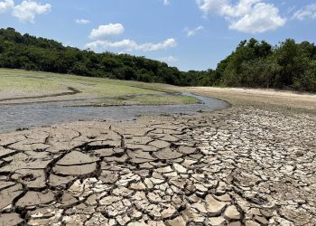 Rio Negro está a 0,78 centímetros de atingir cota da seca histórica de 2010