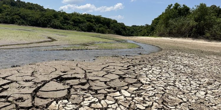 Rio Negro está a 0,78 centímetros de atingir cota da seca histórica de 2010