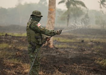 Piorando a fumaceira, dupla é presa pela PM ‘tacando’ fogo na mata em Careiro e Rio Preto da Eva