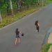 Vídeo: moradora em Manaus não aguenta mais curumins chutando o portão dela: ‘todos os dias’