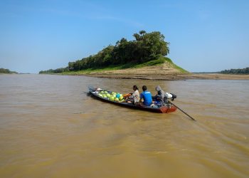 Amazonas tem cinco calhas de rios enchendo e quatro em fim de vazante