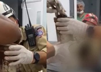 Vídeo mostra momento em que mão triturada de açougueiro sai do moedor de carne em Manaus