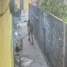 Vídeo mostra homem dando pauladas em mulher após supostamente tentar estuprá-la