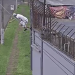 Vídeo mostra detento pulando muro e fugindo tranquilamente de cadeia; veja