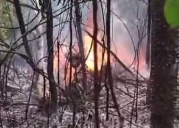 Vídeo: Avião que vinha para o AM explode após queda e bebê está entre os 12 mortos