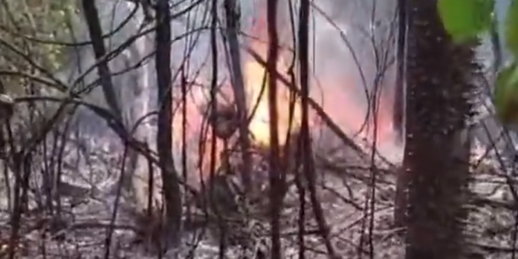 Vídeo: Avião que vinha para o AM explode após queda e bebê está entre os 12 mortos
