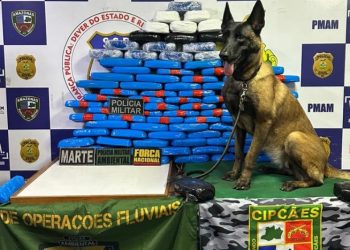 Cadela policial encontra mais de R$ 5 milhões em pasta-base de cocaína no Amazonas