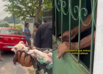Homem joga cachorrinho do 2º andar em Manaus e diz que foi momento de ‘leseira’