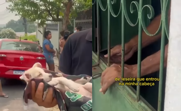 Homem joga cachorrinho do 2º andar em Manaus e diz que foi momento de ‘leseira’