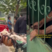 Homem joga cachorrinho do 2º andar em Manaus e diz que foi momento de ‘leseira’