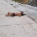 Só de cueca, homem cai aberto ao levar ‘chuvarada’ de tiros no Cidade de Deus