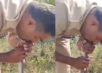 Vídeo: policial faz respiração boca a boca para salvar vida de cobra intoxicada