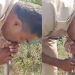 Vídeo: policial faz respiração boca a boca para salvar vida de cobra intoxicada