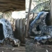 Vídeo de cobra ‘anaconda’ em aldeia indígena viraliza e choca internet; veja