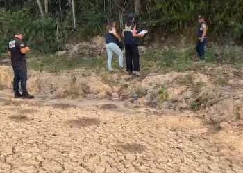 Cadáver sem as mãos e os dedos dos pés ‘comidos’ é encontrado na Zona Norte de Manaus