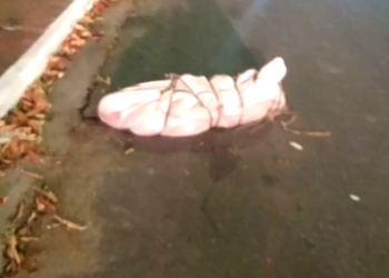 Criminosos matam, colocam corpo em saco e jogam em avenida no bairro Cachoeirinha