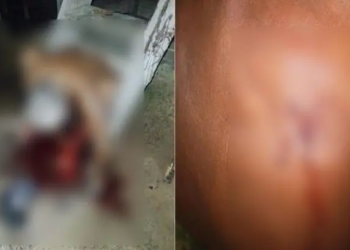 Criminosos invadem casa e matam idoso a tiros no Amazonas