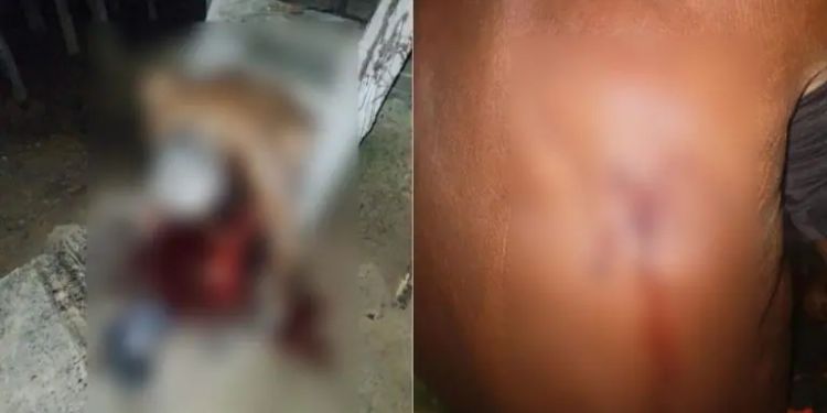 Criminosos invadem casa e matam idoso a tiros no Amazonas