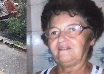 Vídeo mostra momento em que casa cai com idosa em canal; ela está desaparecida