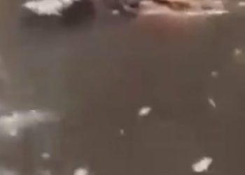 Vídeo: mulher morta é jogada só de calcinha e sutiã no igarapé