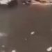 Vídeo: mulher morta é jogada só de calcinha e sutiã no igarapé