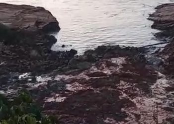 Vídeos: moradores e autoridades buscam vítimas em Beruri em meio à lama