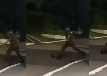 Vídeo de militar chutando animal silvestre causa furor no Amazonas; veja