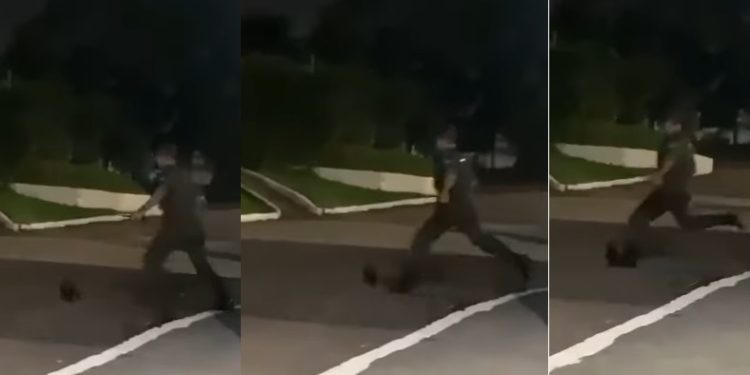 Vídeo de militar chutando animal silvestre causa furor no Amazonas; veja