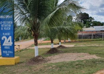 Esposa ciumenta tenta matar o marido a enxadadas no interior do Amazonas