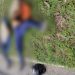 Vídeo urgente: mototaxista e passageira morrem em grave acidente em Manaus