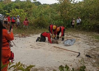 Vídeo: Corpo encontrado em cova em Manaus foi enterrado em pé e vítima morreu degolada