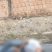 Vídeo: Suposto bandido luta pela vida após tentar roubar e levar tiros na cabeça em Manaus
