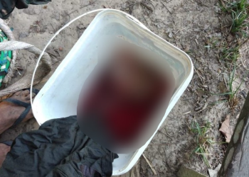 Cena forte: Ribeirinho sai para pescar em Manicoré e encontra feto em balde no rio