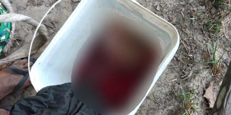 Cena forte: Ribeirinho sai para pescar em Manicoré e encontra feto em balde no rio