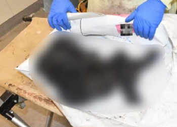 Primeiro Ministro de Israel divulga imagens de bebês carbonizados: ‘Desumano’; veja