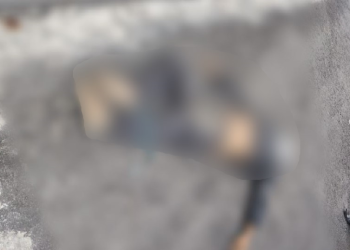 Moradores saem de casa e encontram homem morto em beco no Centro; veja