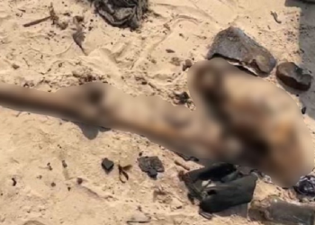 Mais uma ossada é encontrada na Manaus Moderna após três dias