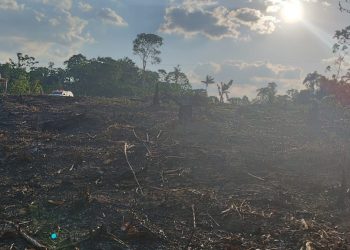 Homem é preso em Manaus por atear fogo em terreno na zona Oeste