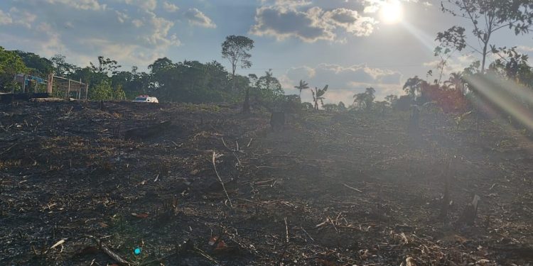 Homem é preso em Manaus por atear fogo em terreno na zona Oeste