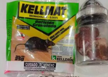 Sobrinho violenta a tia deficiente em Manaus e toma veneno de rato para se matar