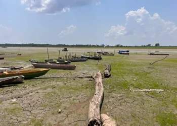 Seca de 2023 no Amazonas já é a pior da história e bate recorde
