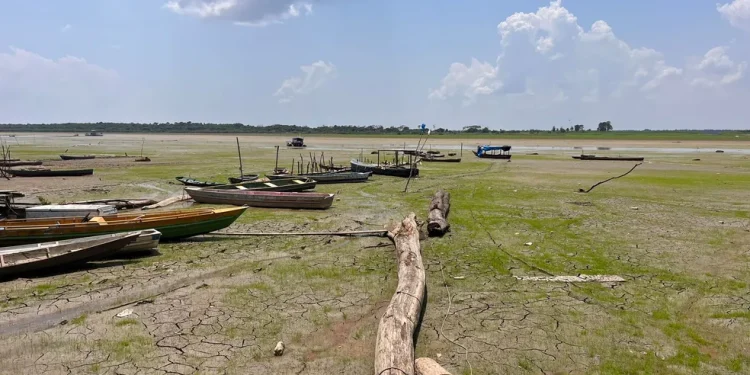 Seca de 2023 no Amazonas já é a pior da história e bate recorde