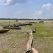 Seca de 2023 no Amazonas já é a pior da história e bate recorde