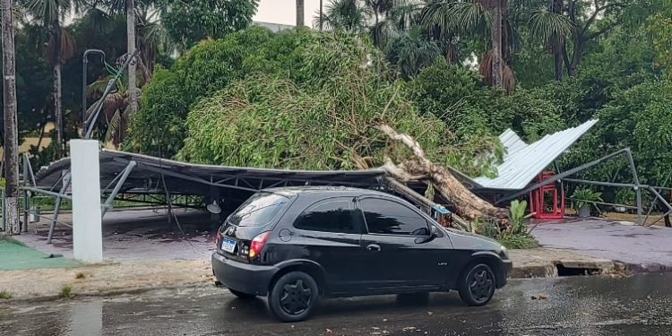 Vídeo: chuva com ventania causa destruição e transtornos em Manaus